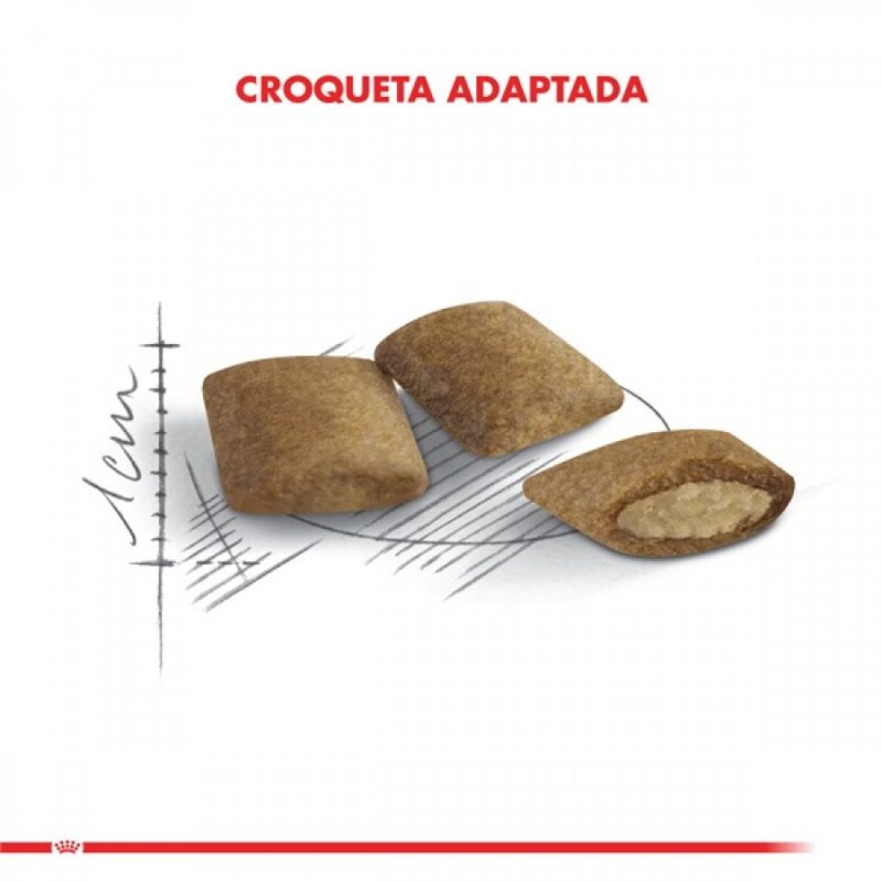 ROYAL CANIN SENIOR AGEING +12 - 2 KG - Imagen 4